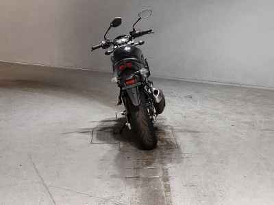 Suzuki SV650X 2024
