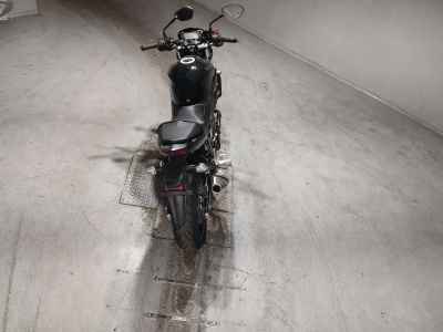 Suzuki SV650X 2024