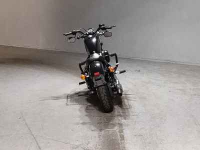 Harley-Davidson Sportster Forty-Eight XL1200X 2020