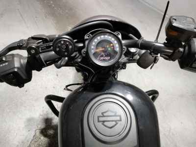 Harley-Davidson Nightster RH975 2022