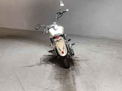 Yamaha XVS250 Drag Star