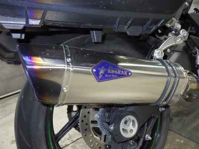 Kawasaki Ninja 1000SX 2021