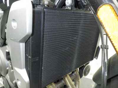 Triumph Trident 660 2021