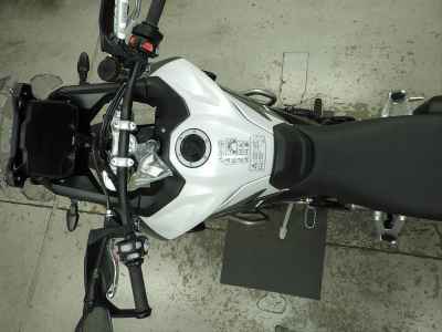 Triumph Tiger 900 Rally Pro 2026