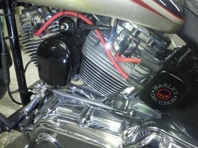 Harley-Davidson Softail FXST1580 2010