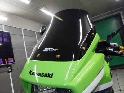 Kawasaki ZRX1200 Daeg 2013