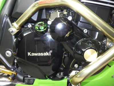 Kawasaki ZRX1200 Daeg 2013