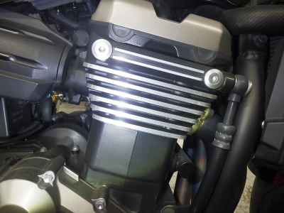 Kawasaki ZRX1200 Daeg 2012