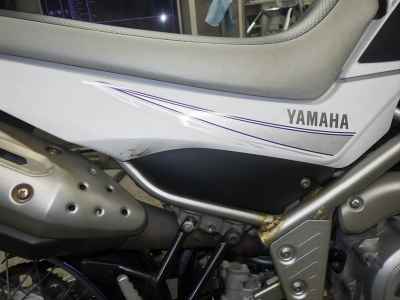 Yamaha WR250X