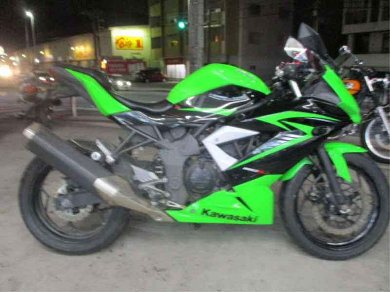 Kawasaki Ninja 250 2015