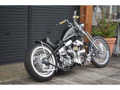 Harley-Davidson KIT BIKE 2013
