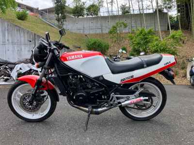 Yamaha RZ250R