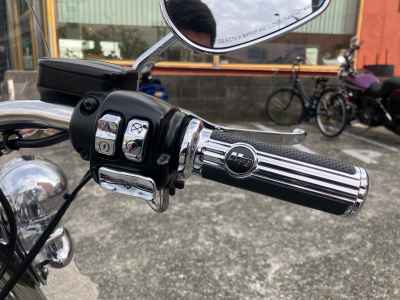 Harley-Davidson FLSTN1580 2015