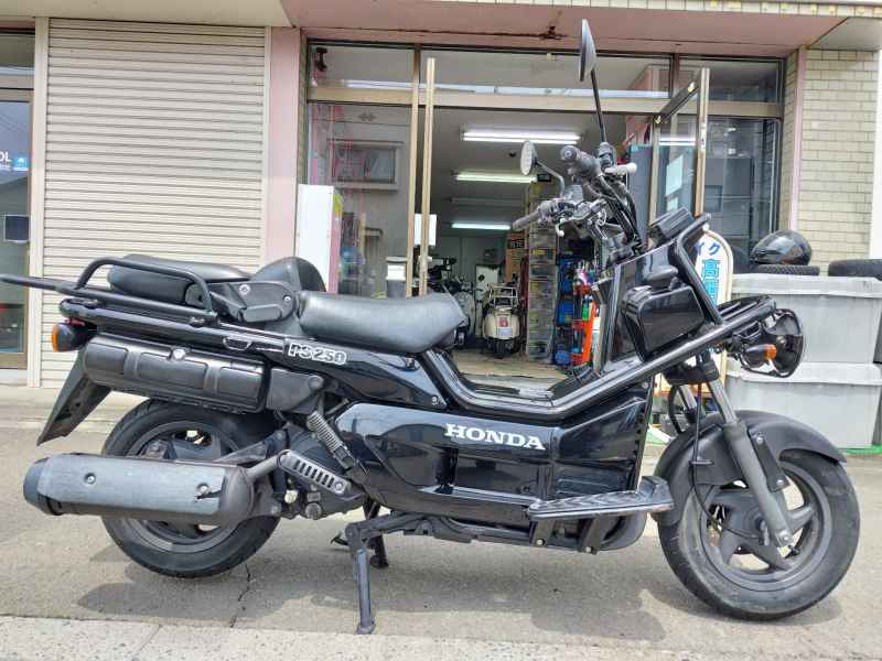 Honda PS250 Big Ruckus 2006