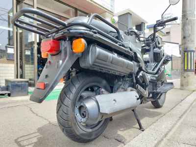 Honda PS250 Big Ruckus 2006