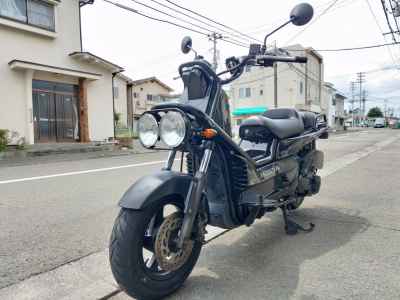 Honda PS250 Big Ruckus 2006