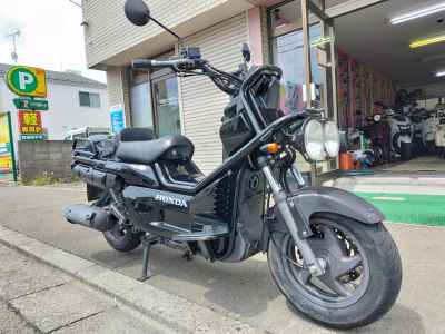 Honda PS250 Big Ruckus 2006