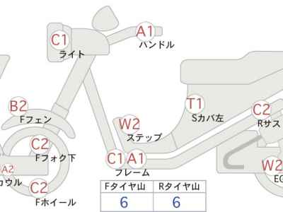 Honda PS250 Big Ruckus 2006
