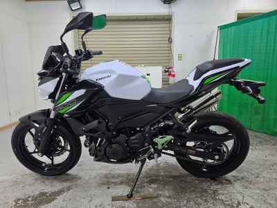 Kawasaki Z400 2019