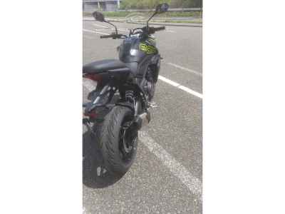 Triumph Tiger 800 2026