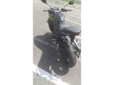 Triumph Tiger 800 2026
