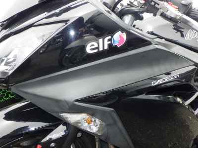 Kawasaki Ninja 300 2013