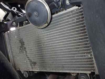 Kawasaki Ninja 300 2013