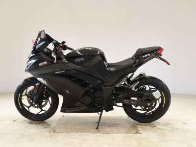 Kawasaki Ninja 300 2013