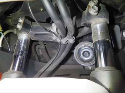 Honda Forza Z 2011