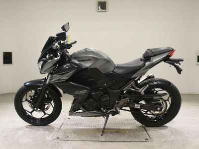 Kawasaki Z250 2015