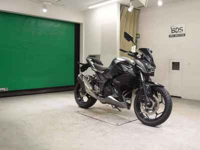 Kawasaki Z250 2015