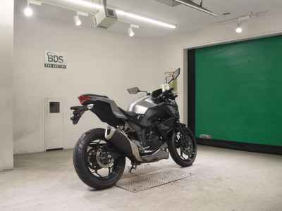 Kawasaki Z250 2015