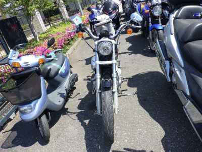 Harley-Davidson Sportster XL883L 2006