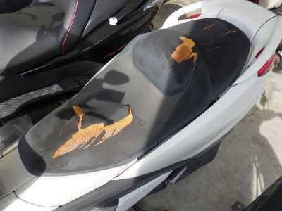 Yamaha Majesty 250 2007