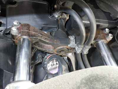 Honda Forza Z 2005