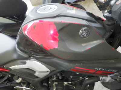 Yamaha MT-25 2016