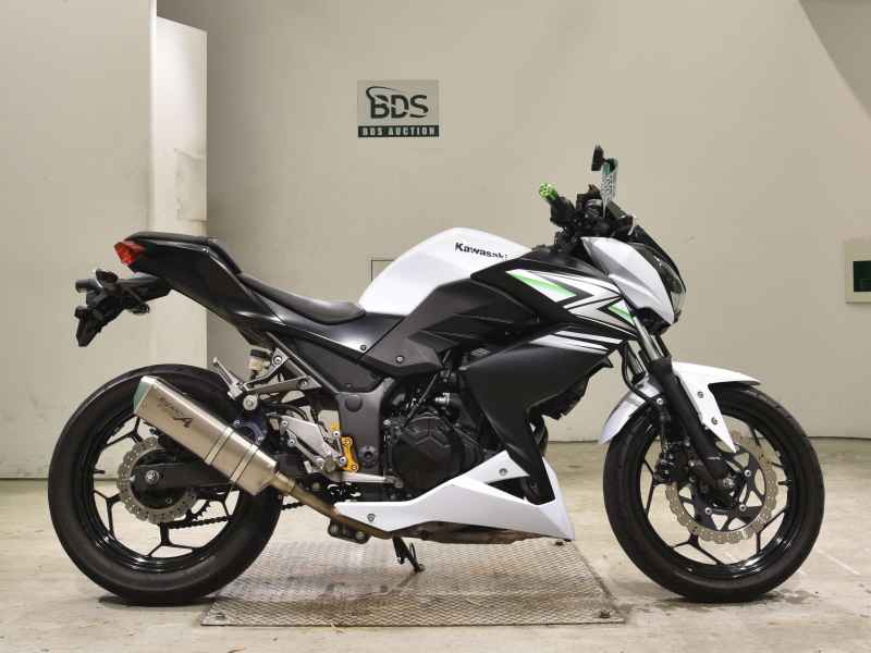 Kawasaki Z250 2014