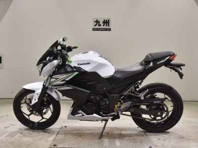 Kawasaki Z250 2014