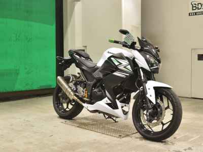 Kawasaki Z250 2014