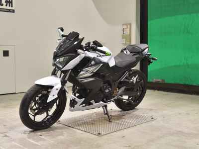 Kawasaki Z250 2014