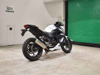 Kawasaki Z250 2014