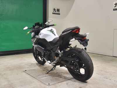 Kawasaki Z250 2014