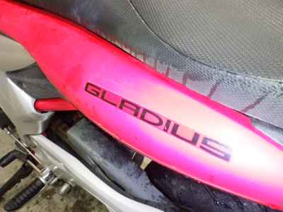 Suzuki Gladius SFV400 2010