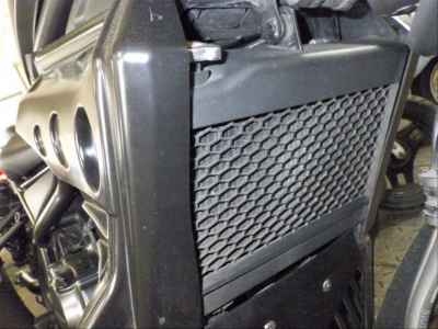 Honda Rebel CMX250 2022