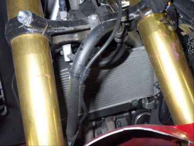 Honda CBR250RR 2019