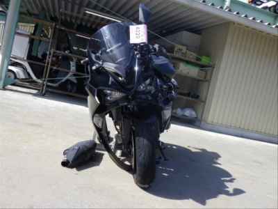 Kawasaki Ninja ZX-6R 2024