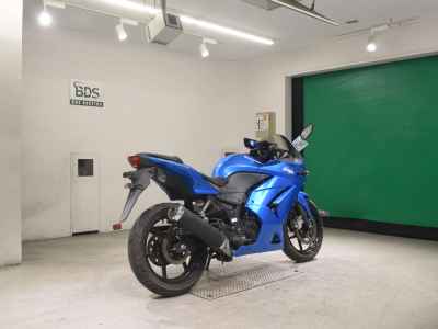 Kawasaki Ninja 250R 2010