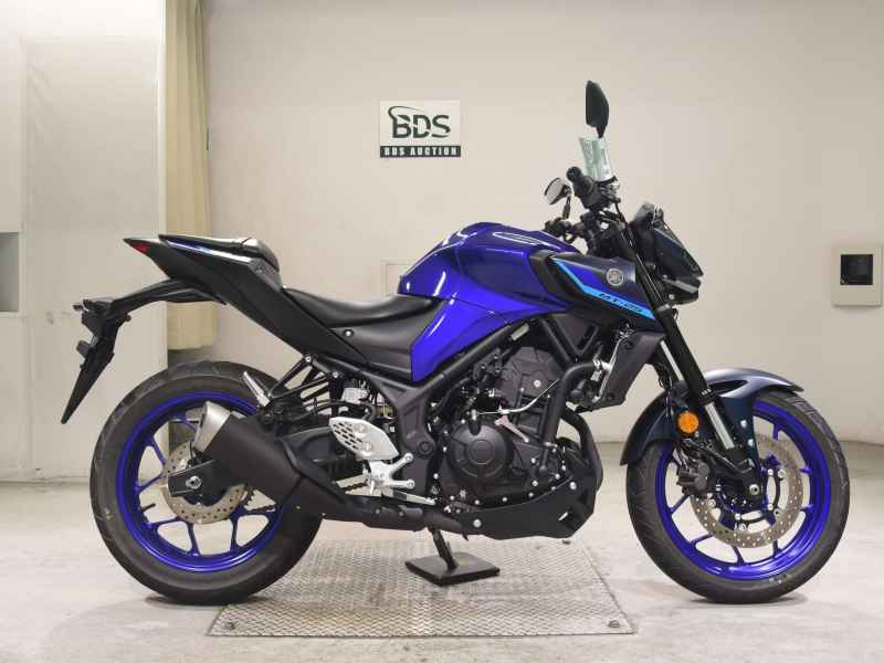 Yamaha MT-25 2022