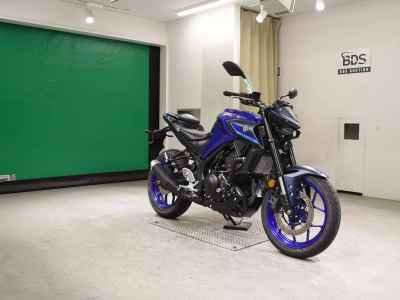 Yamaha MT-25 2022