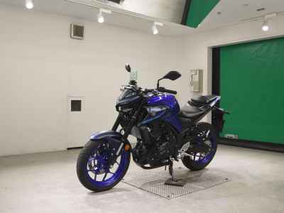 Yamaha MT-25 2022